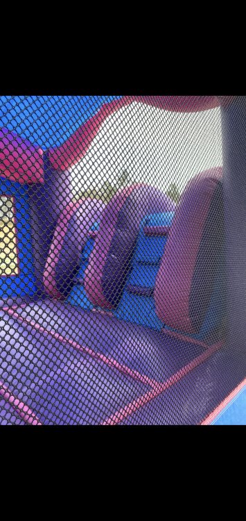 Purple Princess 2 Lane Bounce house