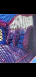 Purple Princess 2 Lane Bounce house